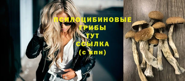 соль ск Чекалин
