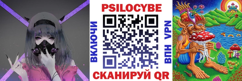 Псилоцибиновые грибы Psilocybe  Невинномысск 
